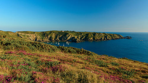 Scenic view of sea against clear blue sky