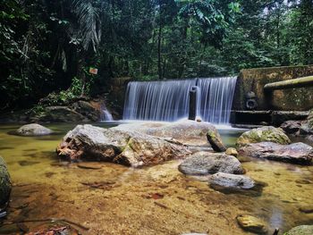 Scenic view of waterfall in forest