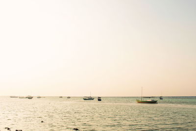 Sailboats sailing in sea against clear sky