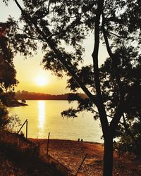 Silhouette tree by lake against sky during sunset