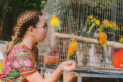 Side view of woman looking at birds in cage