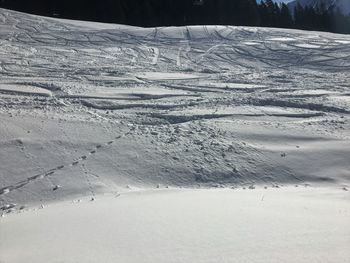 Scenic view of snow covered land