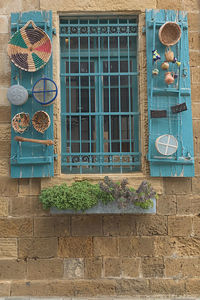 Potted plant on window of building