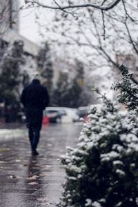 Blurred motion of man on snow covered trees