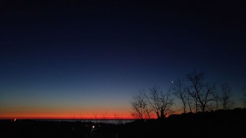 Silhouette of trees at sunset