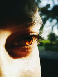 Close-up of man looking away