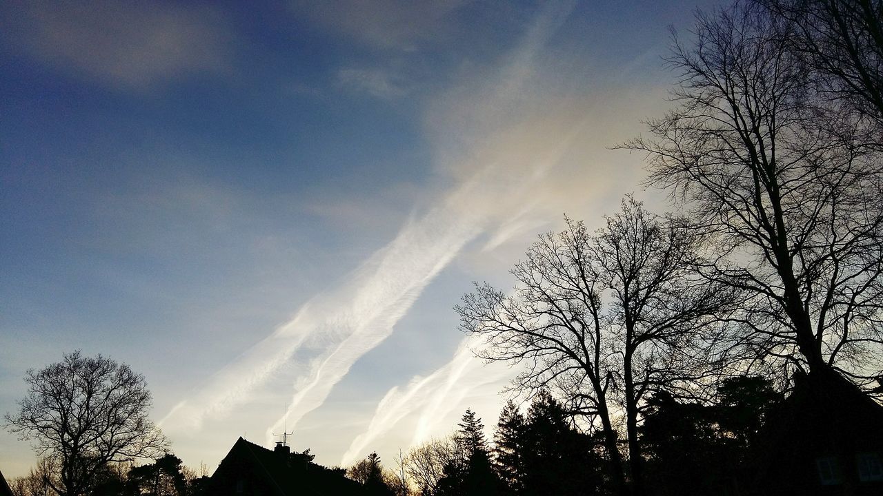 low angle view, sky, tree, sunset, no people, silhouette, nature, beauty in nature, cloud - sky, outdoors, day, close-up