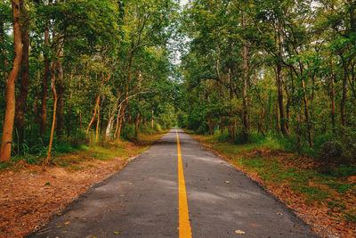 Road amidst trees in forest