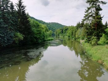 Scenic view of lake in forest against sky