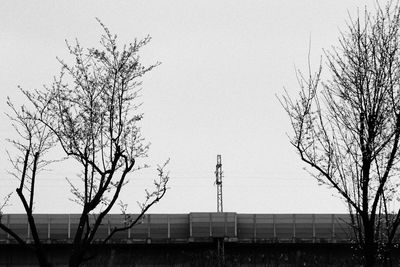 Low angle view of bare tree and building against sky
