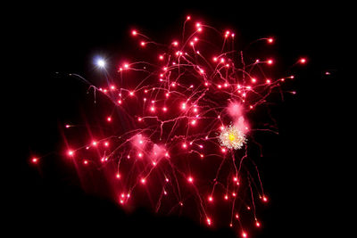 Low angle view of firework display at night