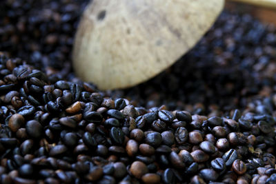 Close-up of coffee beans