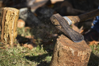 Close-up of chain on tree stump