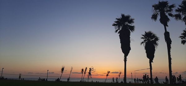 Silhouette palm trees on beach against clear sky at sunset