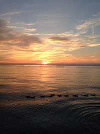 Scenic view of sea at sunset