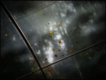 Low angle view of sky seen through glass