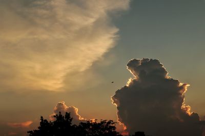 Low angle view of silhouette trees against sky during sunset