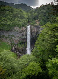 Scenic view of waterfall in forest