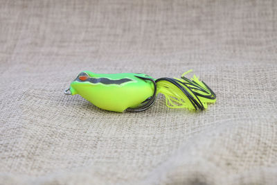 Close-up of green leaf on table
