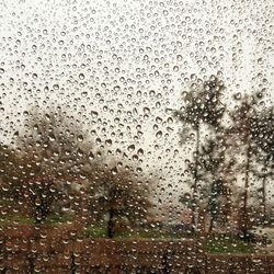 Close-up of water drops on glass