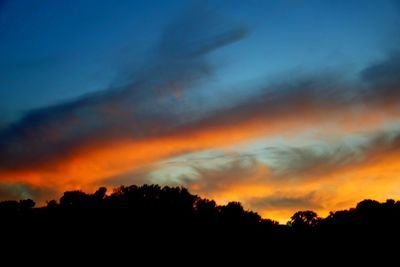 Low angle view of silhouette trees against dramatic sky