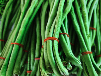 Full frame background of tied fresh green long pea