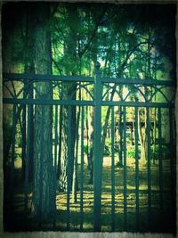 Wooden fence with trees in background