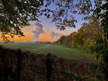 Scenic view of field against sky during sunset