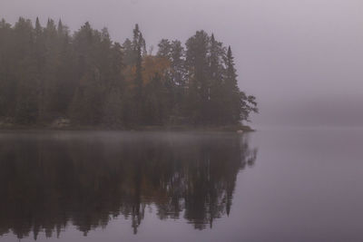 Reflection of trees in calm lake