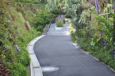 Narrow walkway along plants in park