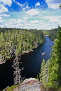 Scenic view of river amidst trees against sky