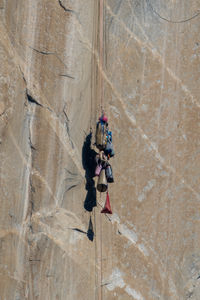 Rock climbing gear hanging from the face of el capitan, in yosemite valley.