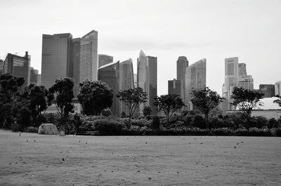 Trees in city against sky