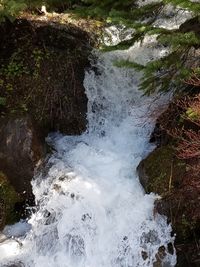 Stream flowing through rocks in forest