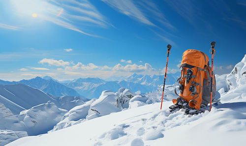 Rear view of woman standing on snow covered mountain