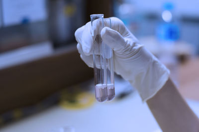 Cropped hand of scientist wearing surgical glove holding test tubes in laboratory