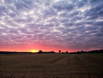 Scenic view of field against sky during sunset