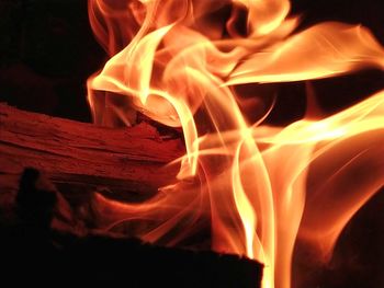 Close-up of bonfire