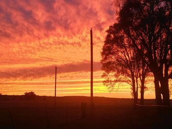 Silhouette trees on field against orange sky