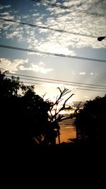 Silhouette trees against sky at sunset