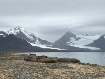 Scenic view of snowcapped mountains against sky