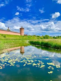 Reflection of plants in lake against blue sky