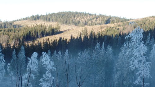 Scenic view of landscape against clear sky