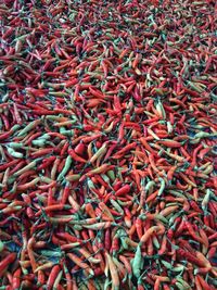 Full frame shot of red objects