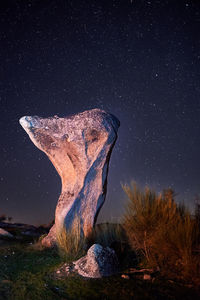Tree trunk against sky at night