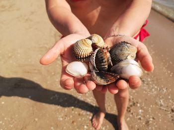 Midsection of woman holding shells at beach