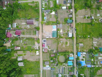 High angle view of buildings and trees in city