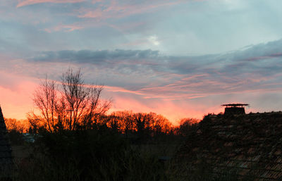 Silhouette trees on landscape against sky at sunset