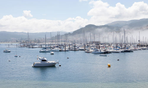 Sailboats moored in harbor