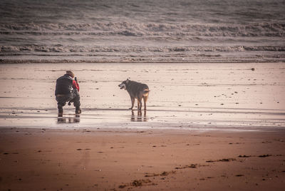 Man standing on sand at beach photographing dog